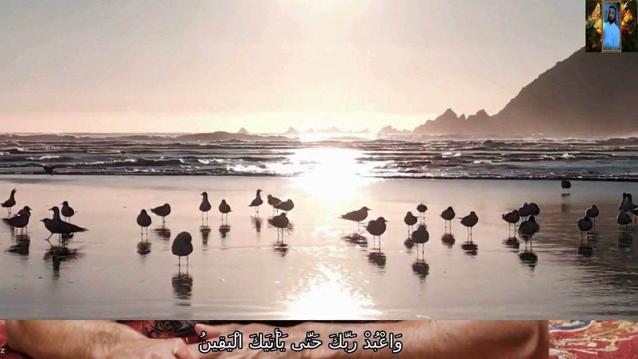 قران صوت جميل وخاشع يبكي الحجر قناة علي الفرهود القران الكريم