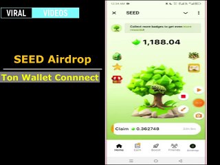 How to Connect Ton Wallet with SEED Airdrop