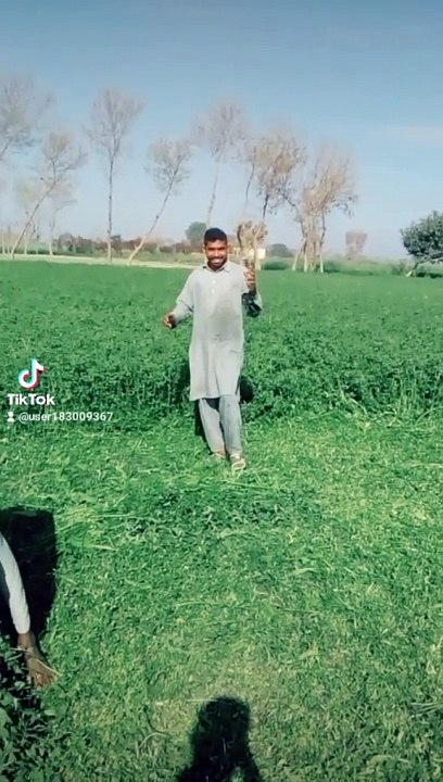 Funny