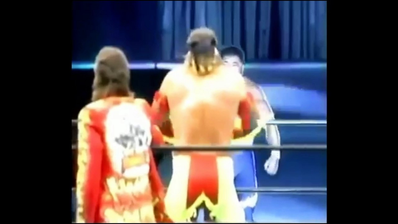 Brutus the barber beefcake vs masa saito tokyo dome japan may 3  1993)