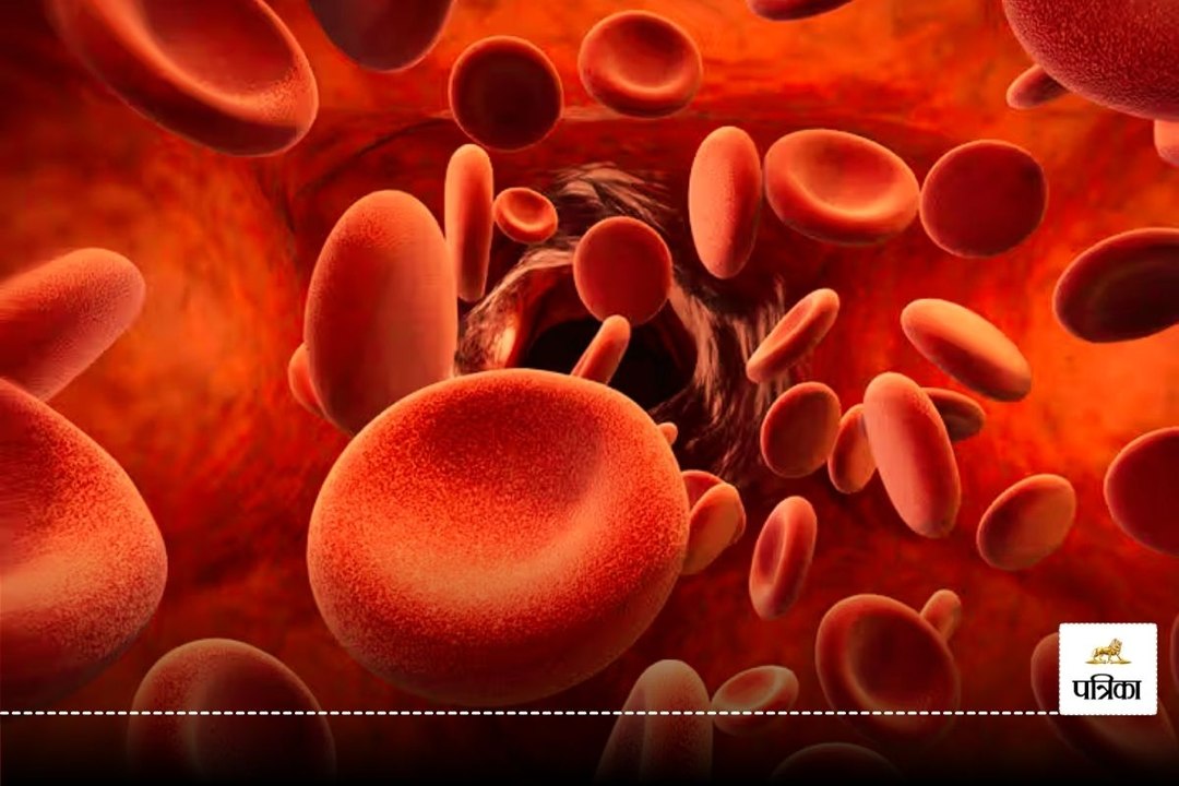 Increase Platelets Fast : 24 घंटे में प्लेटलेट्स बढ़ाएं,  आजमाएं ये अचूक तरीका
