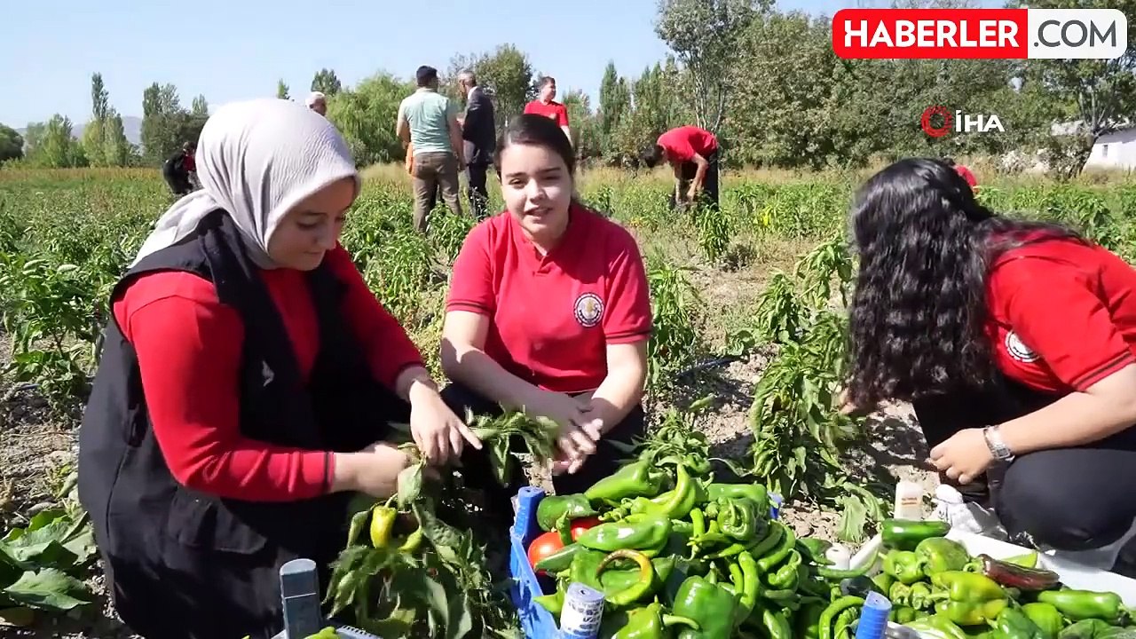 Meslek Lisesi Öğrencileri Sebze Üreterek Ekonomiye Katkı Sağlıyor
