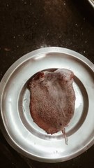 goat spart different eat