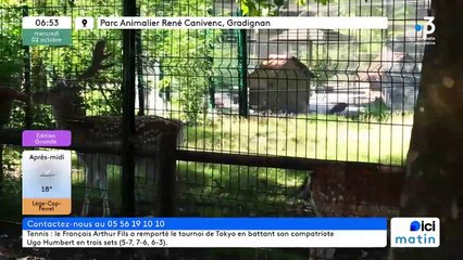 02/10/2024 - ICI Matin France Bleu Gironde en vidéo