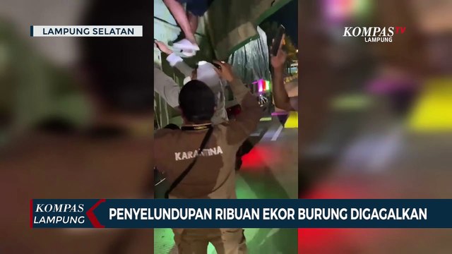 Penyelundupan Ribuan Ekor Burung Digagalkan Karantina