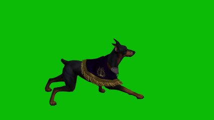 Dog barking and running Green Screen 4K