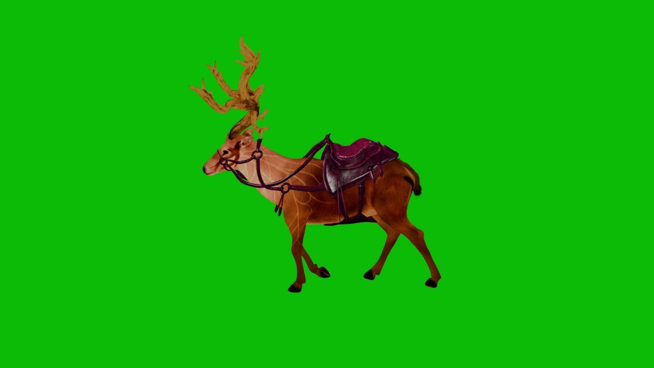 Deer walking Green Screen 4K