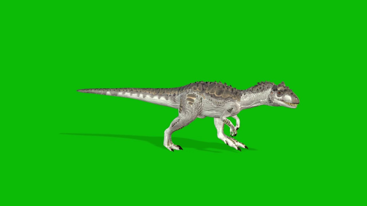 Dinosaur walking Green Screen 4K