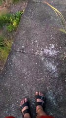 To more Sunsets with my Bebu!