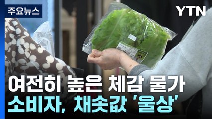 통계와 다른 현실...치솟은 채솟값에 "장 보기 무섭다" / YTN