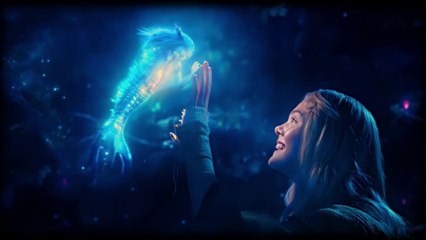 HollyWood 4K edit || 120fps video