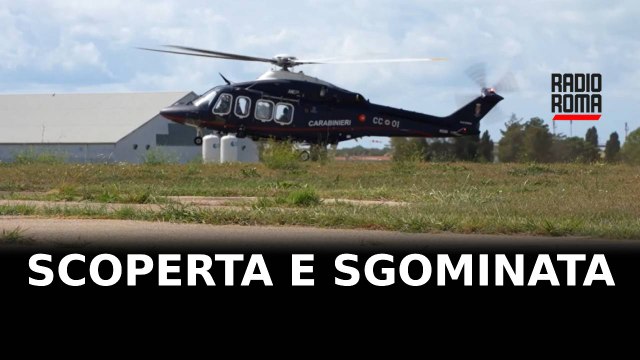 Arrestata banda della droga a Casal Bruciato