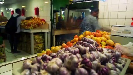 El Amazonas: La Cuenca Fluvial Más Grande del Planeta