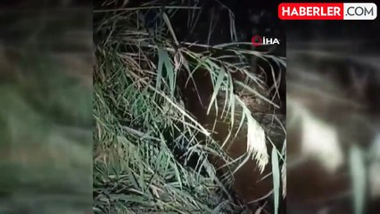 Şanlıurfa'da Otomobil Devrildi: 1 Ölü, 2 Yaralı