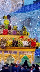 ✨ Celebrating Ghazi Abbas A Colourful Tribute to a Noble Legacy ✨