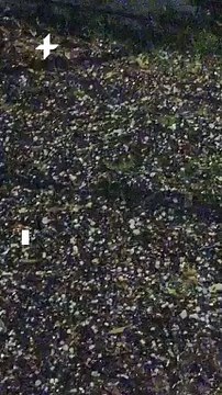 Temporal com granizo causa estragos em cidades do Rio Grande do Sul