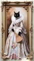 cute vintage cat, cat in beautiful dresses  #cats #catlover #cattok