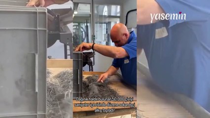 50 bin çiviyi sadece sallayarak düzene soktu! İşin ehli...