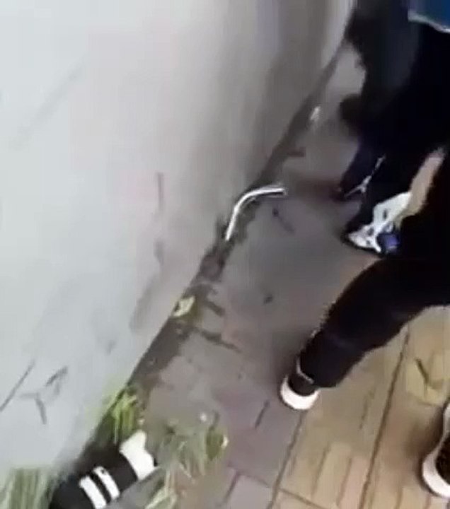 Video: ¡Por una foto! Un fotógrafo fue atropellado en la avenida Beijing de China