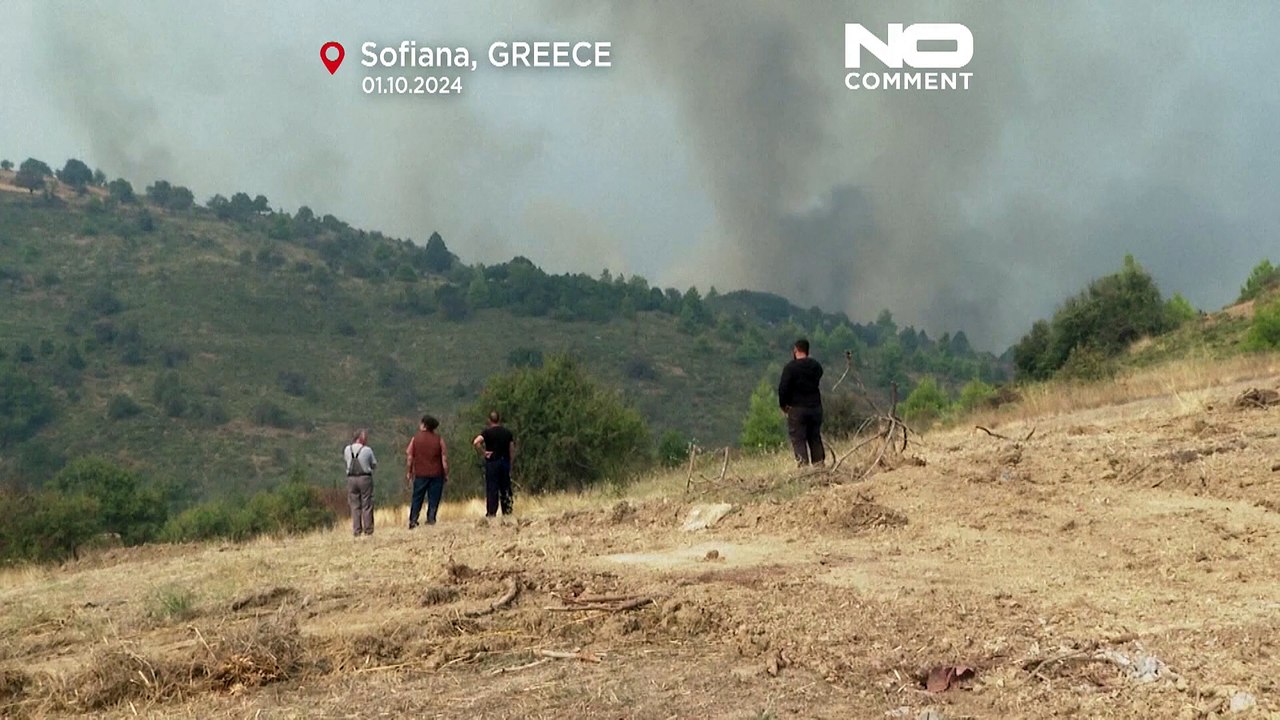 Griechenland: Große Waldbrände auf Halbinsel Peloponnes nicht unter Kontrolle