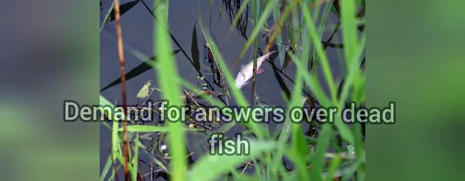 Weekly headlines from the Peterborough Telegraph