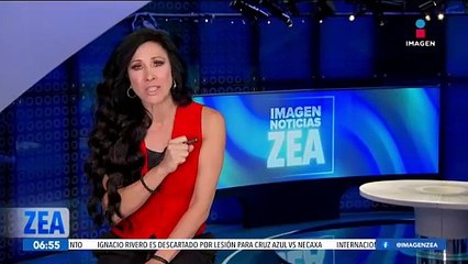 Oso polar enfrenta un laberinto de hielo