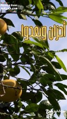 بينى وبينك أيام وينقضوا