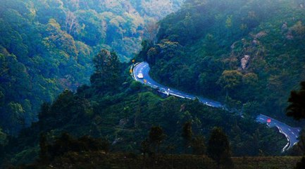 VIDEO: नीलगिरि जाने वाले पर्यटकों के लिए ई-पास अभी भी अनिवार्य