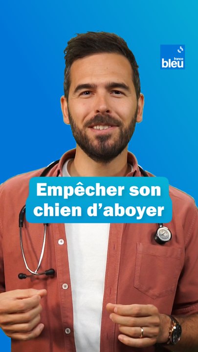 Empêcher son chien d'aboyer