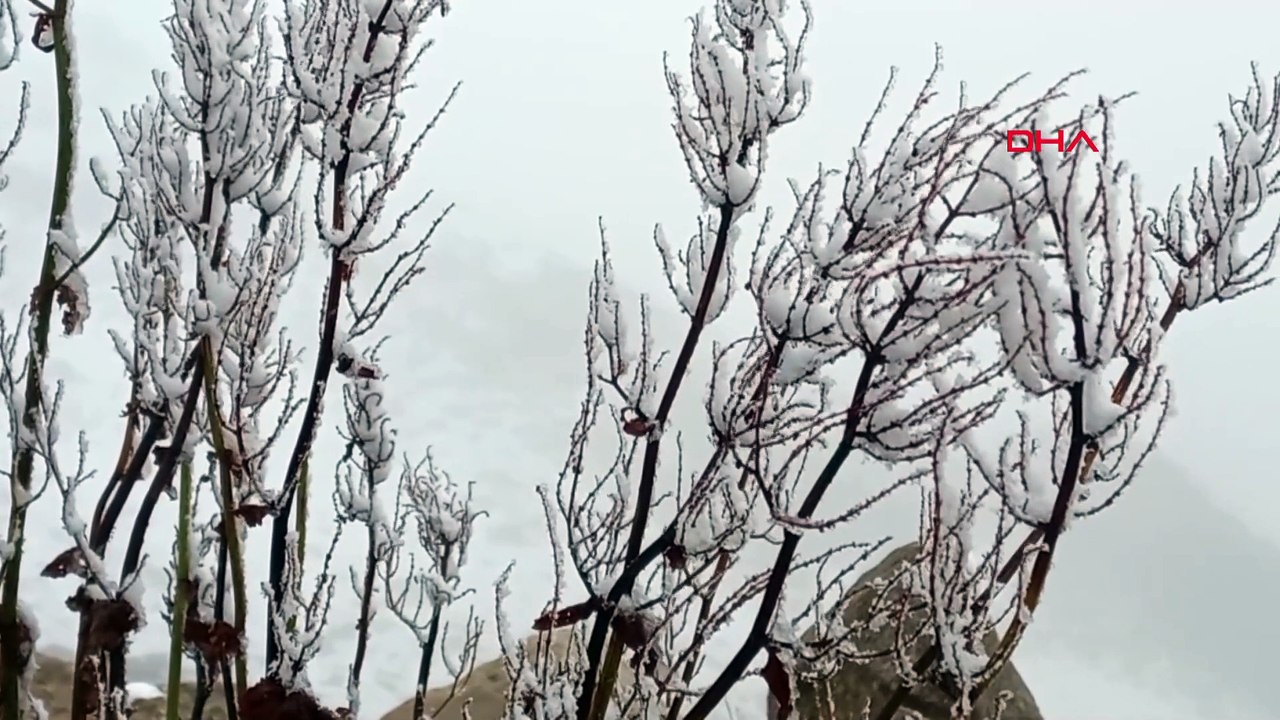 Rize’nin Çamlıhemşin ilçesinde ilk kar yağışı yaylaları beyaza bürüdü