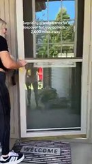 "Tão feliz". Jovem percorre 3.219 quilómetros para surpreender avós