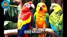 _I’m a Parrot!  _ Fun Animal Song & Dance for Kids _ KidsMation Nursery Rhymes_