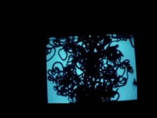 Vjing History,  Boyle family, Trois Carres