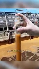 طريقة مدهشة لتنقية المياه