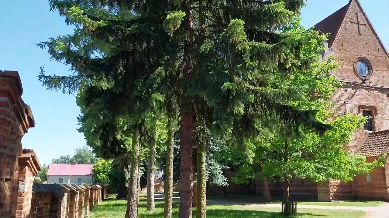 PN-9   MAZ--81   ---   Koronacja Władysława III Warneńczyka