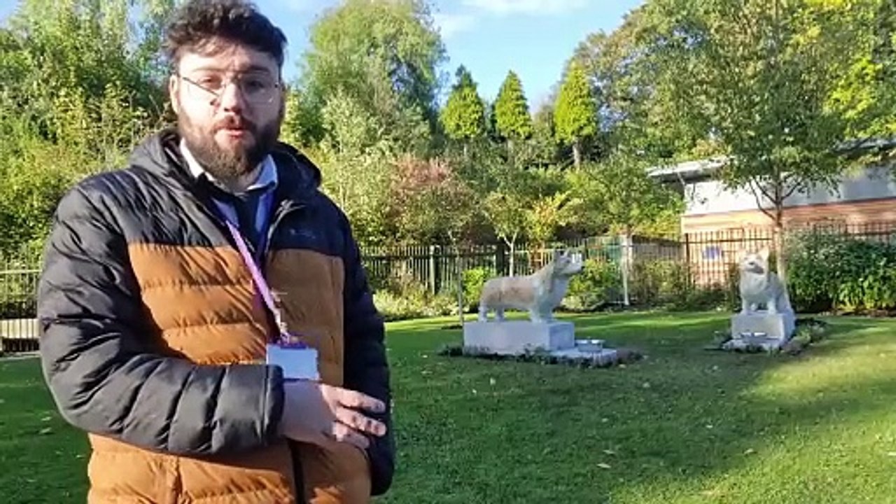 Walsall residents have their say on Walsall's new corgi sculptures
