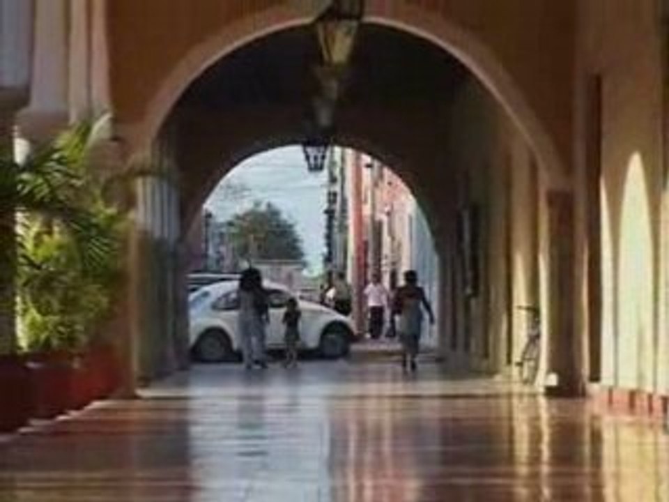 visite de valladolid avec les tours de mimi en francais