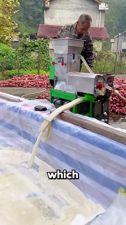 From_Sweet_Potatoes_to_Starch__The_Process!