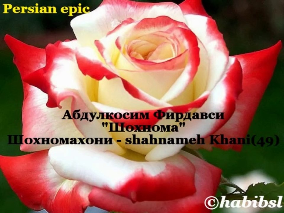 Shahnameh Khani - 49