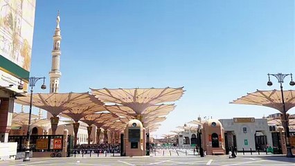 Prayered in Masjid Al Nabawi Ziyarat Roza e Rasool ﷺ#madinashareef  #viralreels #trendingreels #rozaerasoolﷺ❤️ #saudiarabia #gumbadekhazra #2024trends #masjidnabawimadinah #top​ #trending​ #Haram​ #short​  #subhanallah and Madina Munawara
