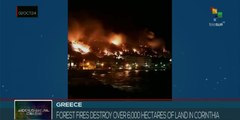 Forest fires in southern Greece destroy more than 6,000 hectares of land