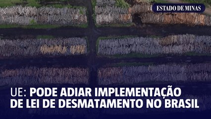 UE: pode adiar implementação de lei de desmatamento no Brasil