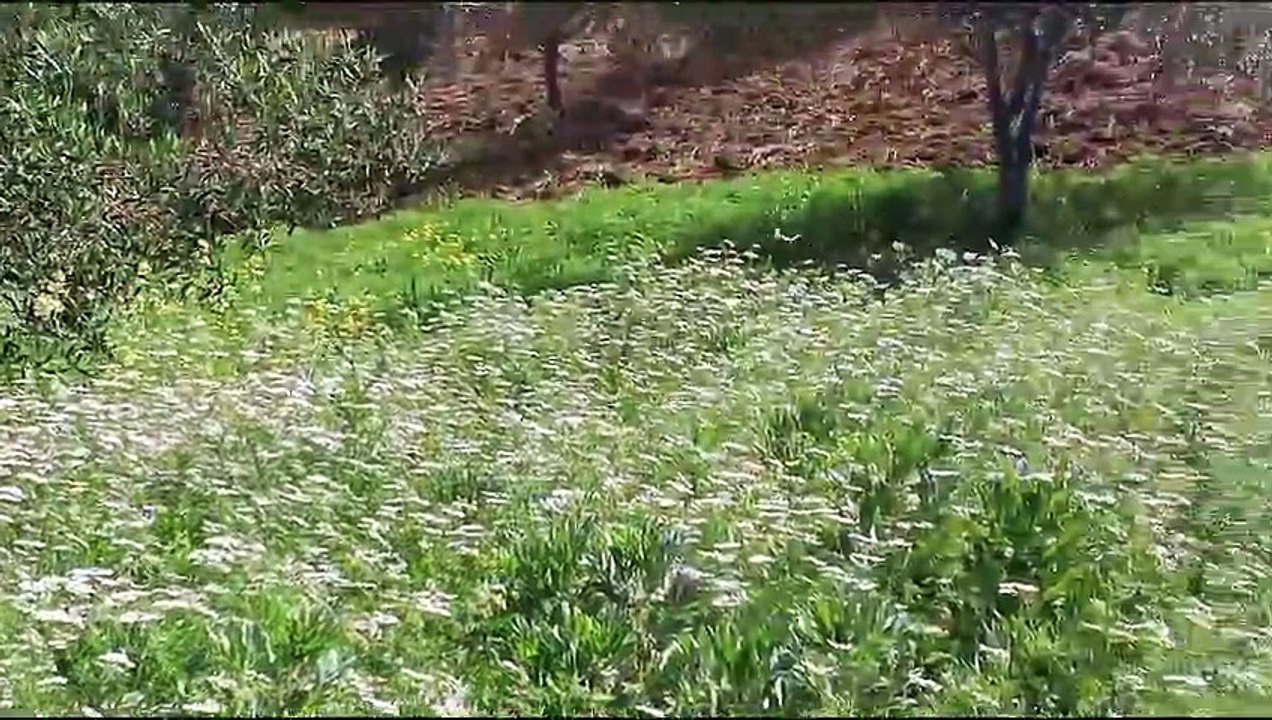 طبيعة المغرب الخلابة التي جعلتنا نفتخر