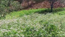 طبيعة المغرب الخلابة التي جعلتنا نفتخر