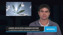 VP Harris Pushes Cannabis Legalization, But Will Promises Lead to Change?