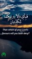 Surah Ar Rahman, verses: 37-42