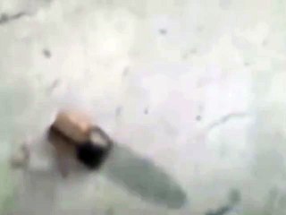 Bala perdida atinge dependências do Hospital Roberto Santos