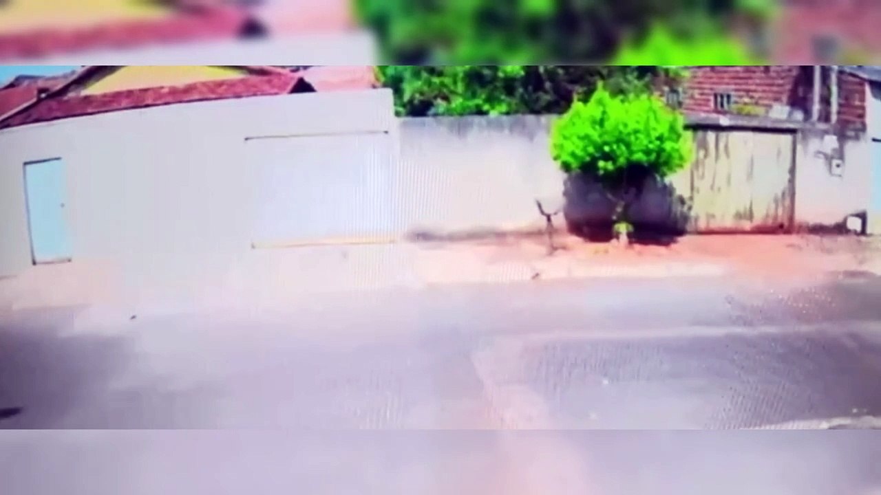 Cavalo desgovernado derruba portão de casa em Goiania