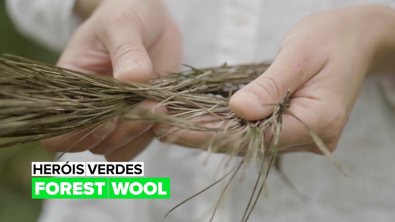 Heróis verdes - Forest Wool
