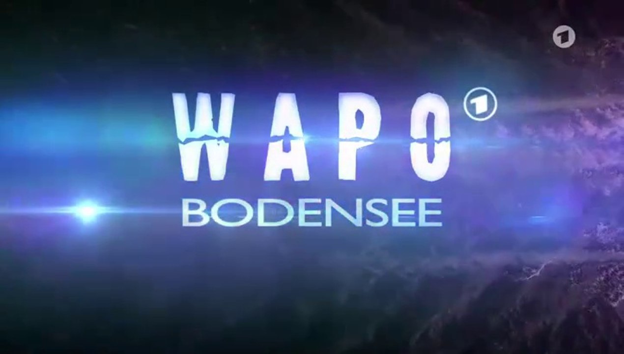 WaPo Bodensee -09- Feuerwerk